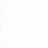 56120